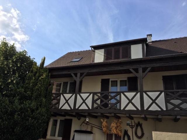 Les Hibiscus Villa Andolsheim Luaran gambar